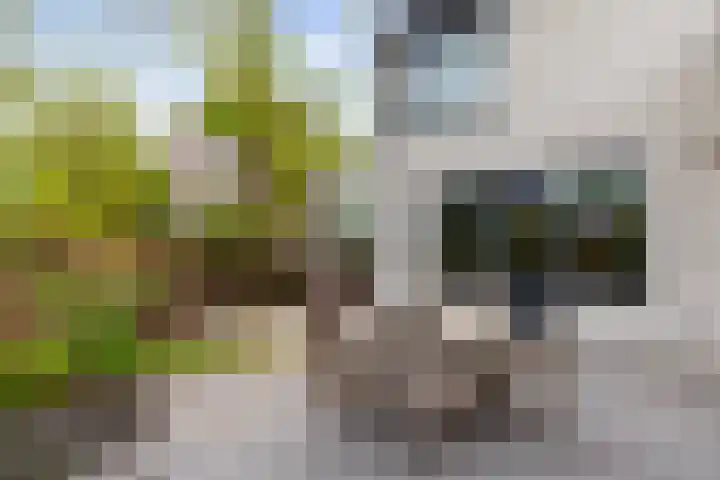 Roemer Visscherstraat 360 Vlaardingen thumbnail 16