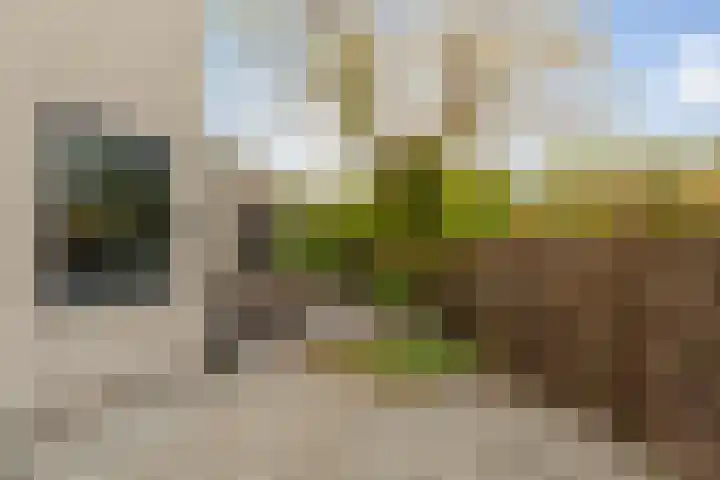 Roemer Visscherstraat 360 Vlaardingen thumbnail 20