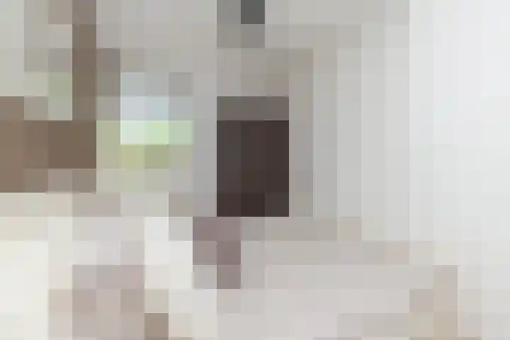 Roemer Visscherstraat 360 Vlaardingen thumbnail 22