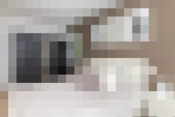 Roemer Visscherstraat 360 Vlaardingen thumbnail 23