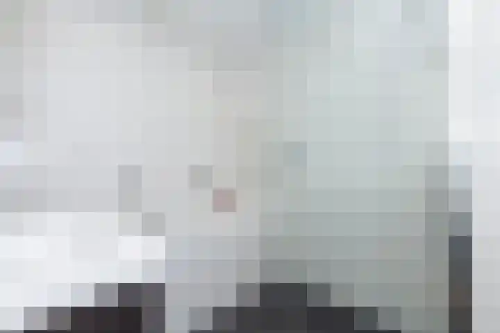 Roemer Visscherstraat 360 Vlaardingen thumbnail 26