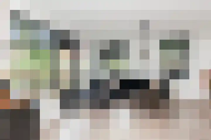 Roemer Visscherstraat 360 Vlaardingen thumbnail 7