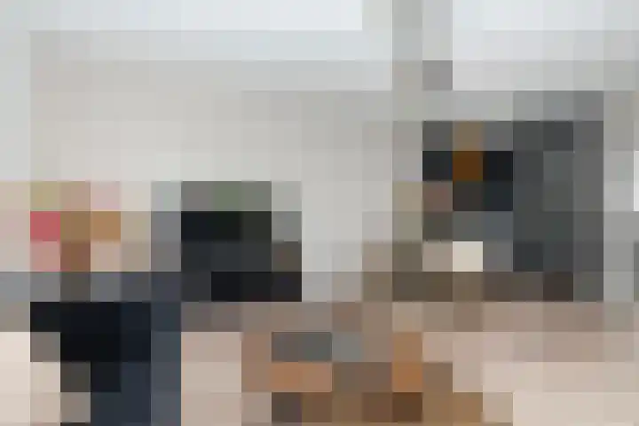 Roemer Visscherstraat 360 Vlaardingen thumbnail 9