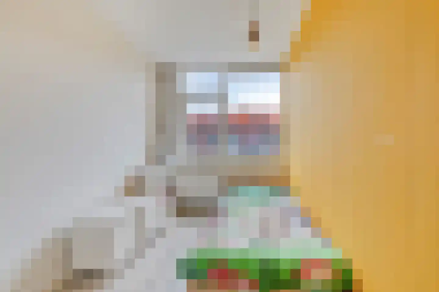 Roemer Visscherstraat 37 Leiden thumbnail 23