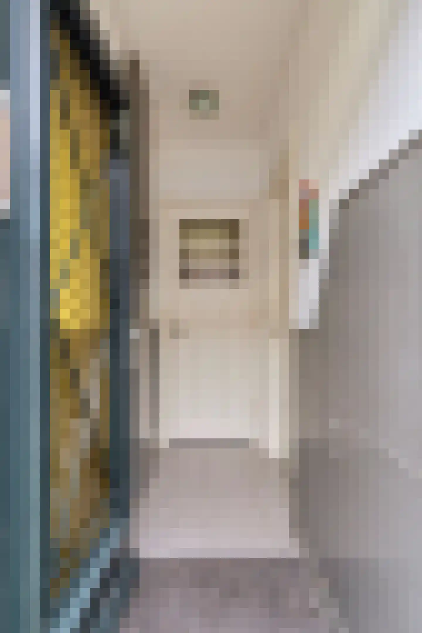 Roemer Visscherstraat 37 Leiden thumbnail 6