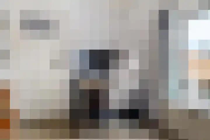 Roemer Visscherstraat 4 Hoogezand thumbnail 23