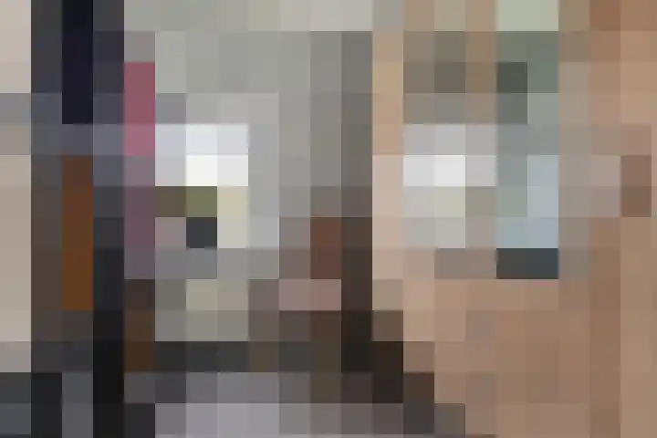 Roemer Visscherstraat 4 Hoogezand thumbnail 26