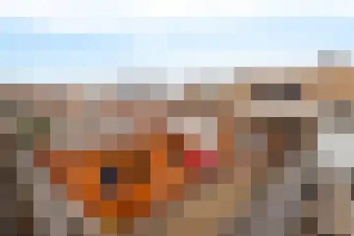 Roemer Visscherstraat 4 Hoogezand thumbnail 4