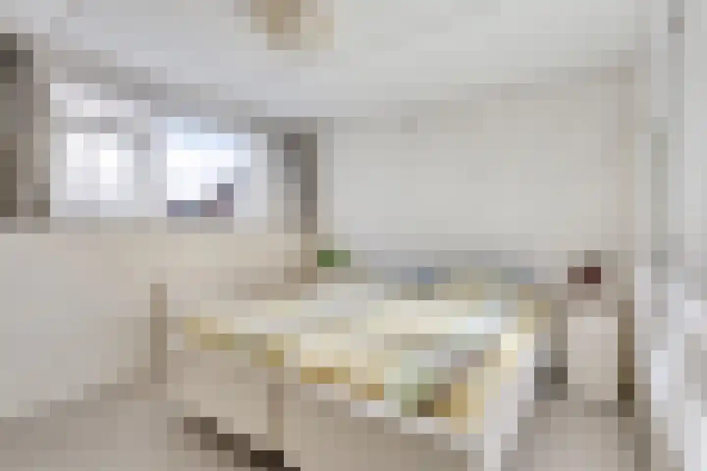 Roemer Visscherstraat 4 Winterswijk thumbnail 21