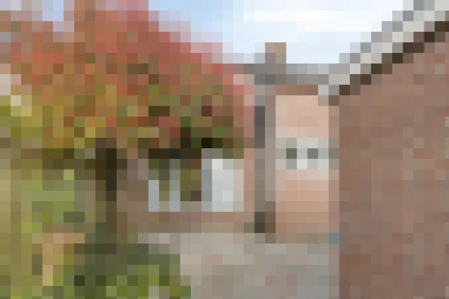 Roemer Visscherstraat 4 Winterswijk thumbnail 5