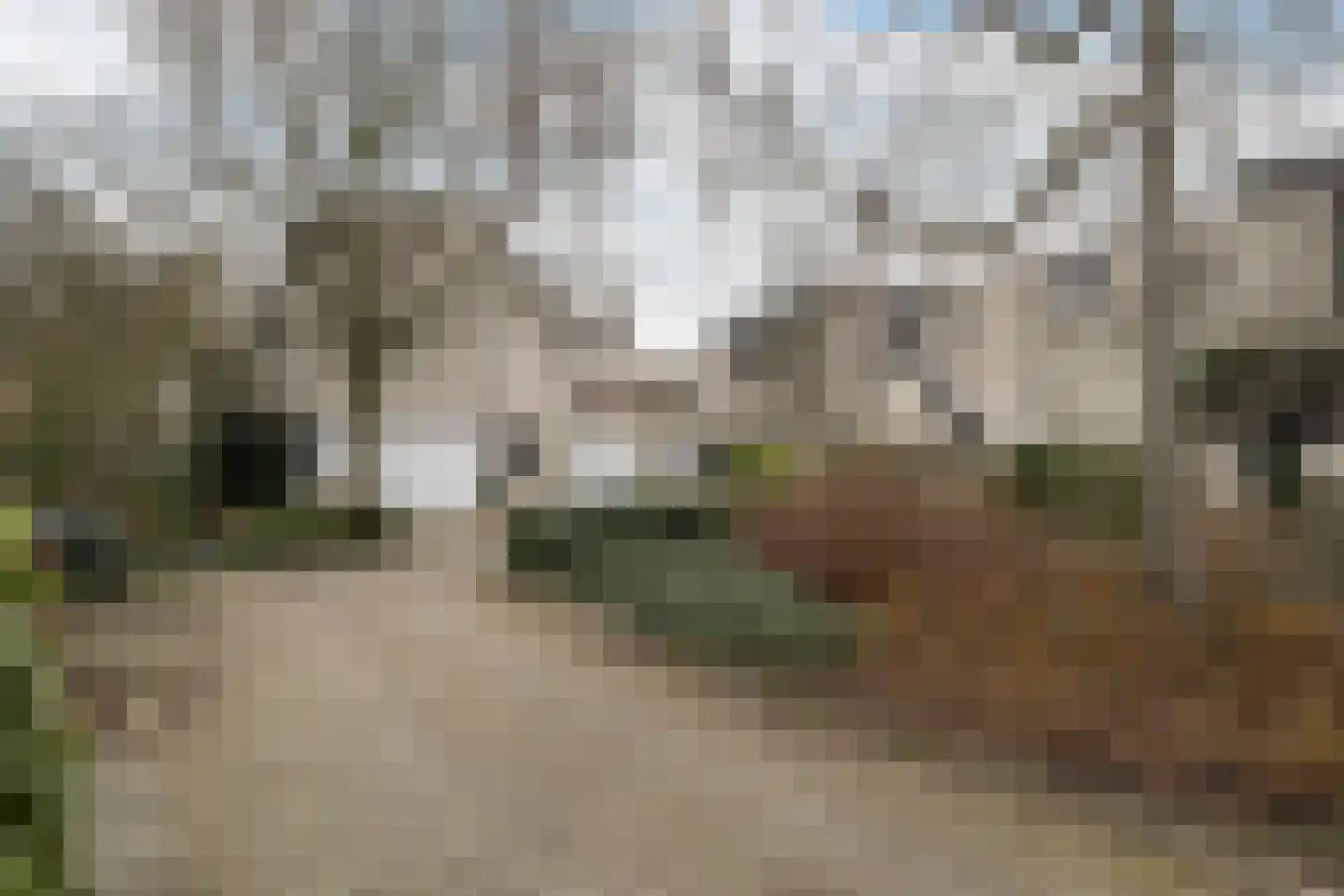 Roemer Visscherstraat 402 Vlaardingen thumbnail 32