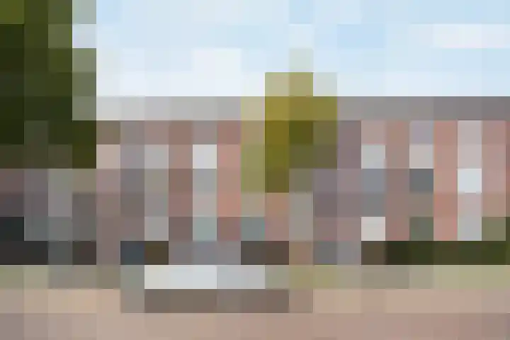 Roemer Visscherstraat 447 Den Haag thumbnail 6