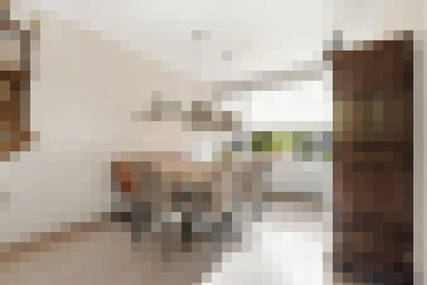 Roemer Visscherstraat 5 Alblasserdam thumbnail 12