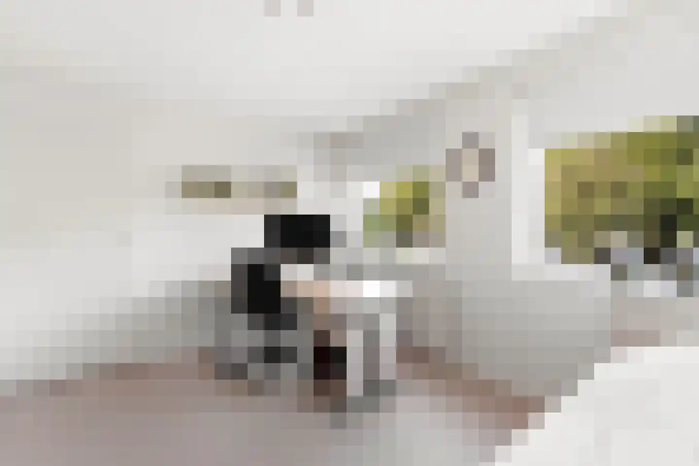 Roemer Visscherstraat 5 Alblasserdam thumbnail 26