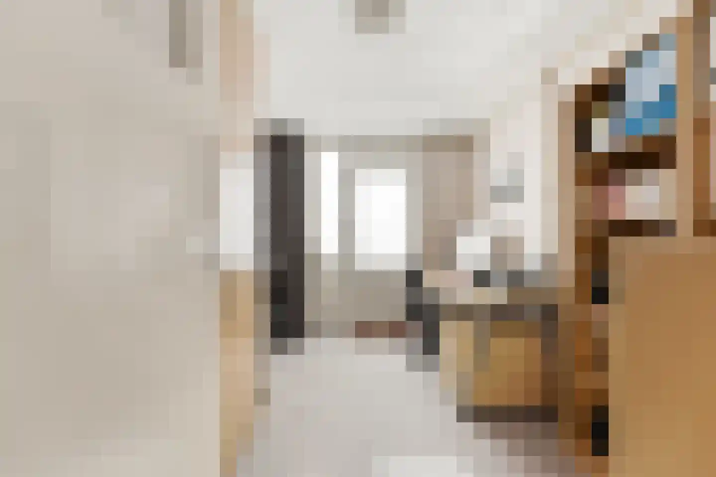 Roemer Visscherstraat 5 Alblasserdam thumbnail 28