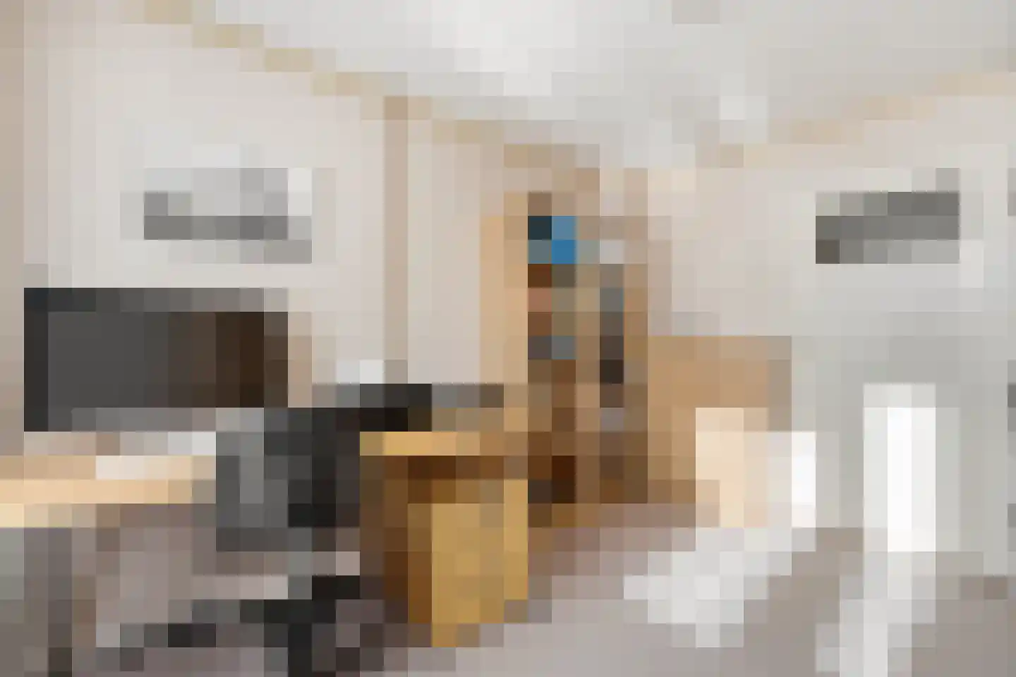 Roemer Visscherstraat 5 Alblasserdam thumbnail 29