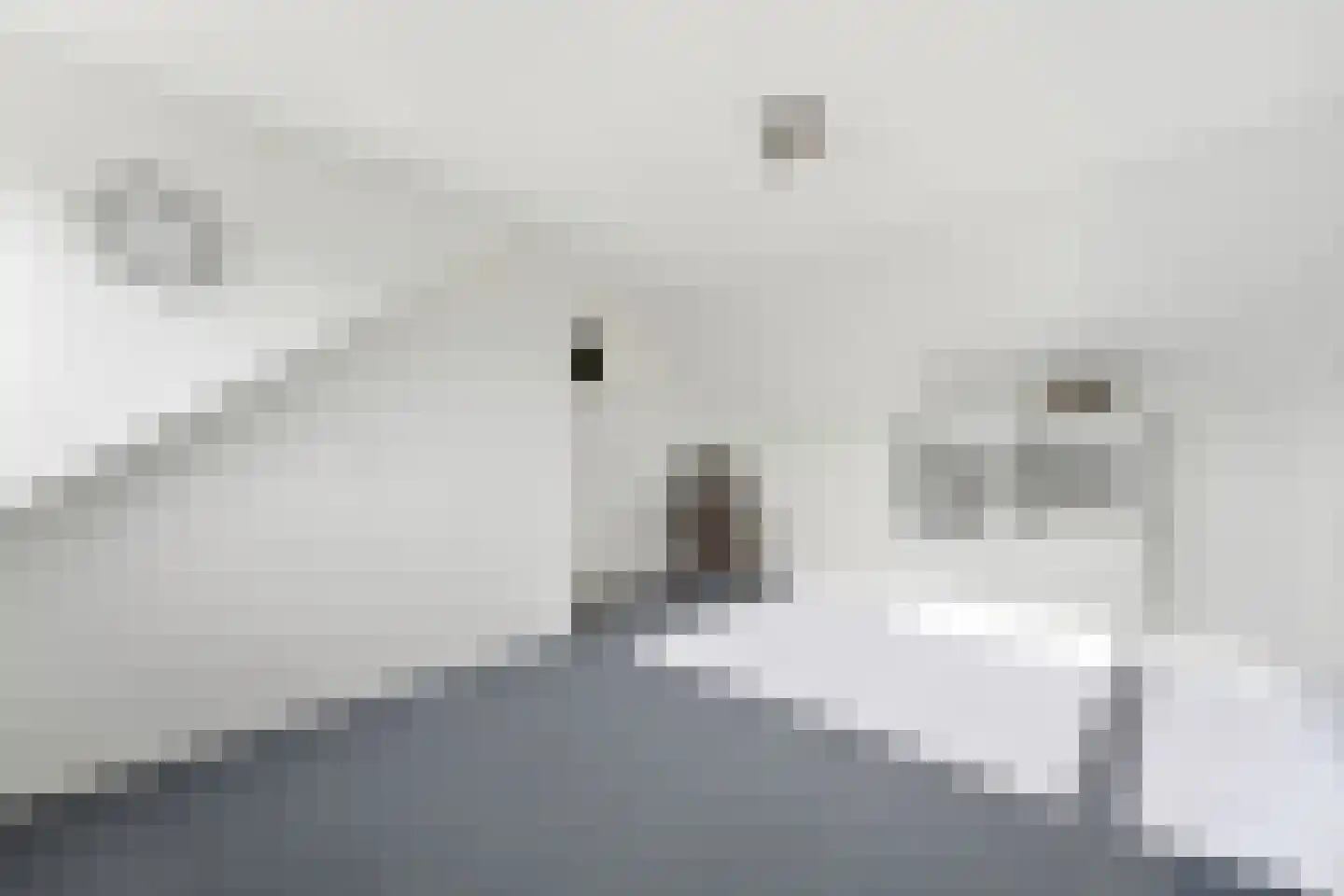 Roemer Visscherstraat 5 Alblasserdam thumbnail 39