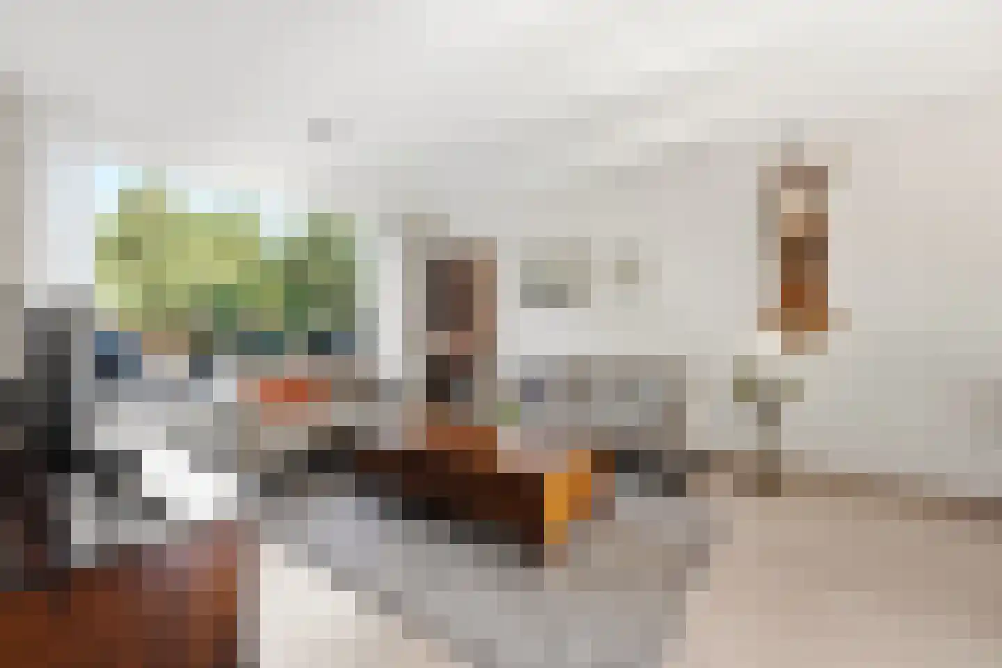 Roemer Visscherstraat 5 Alblasserdam thumbnail 4