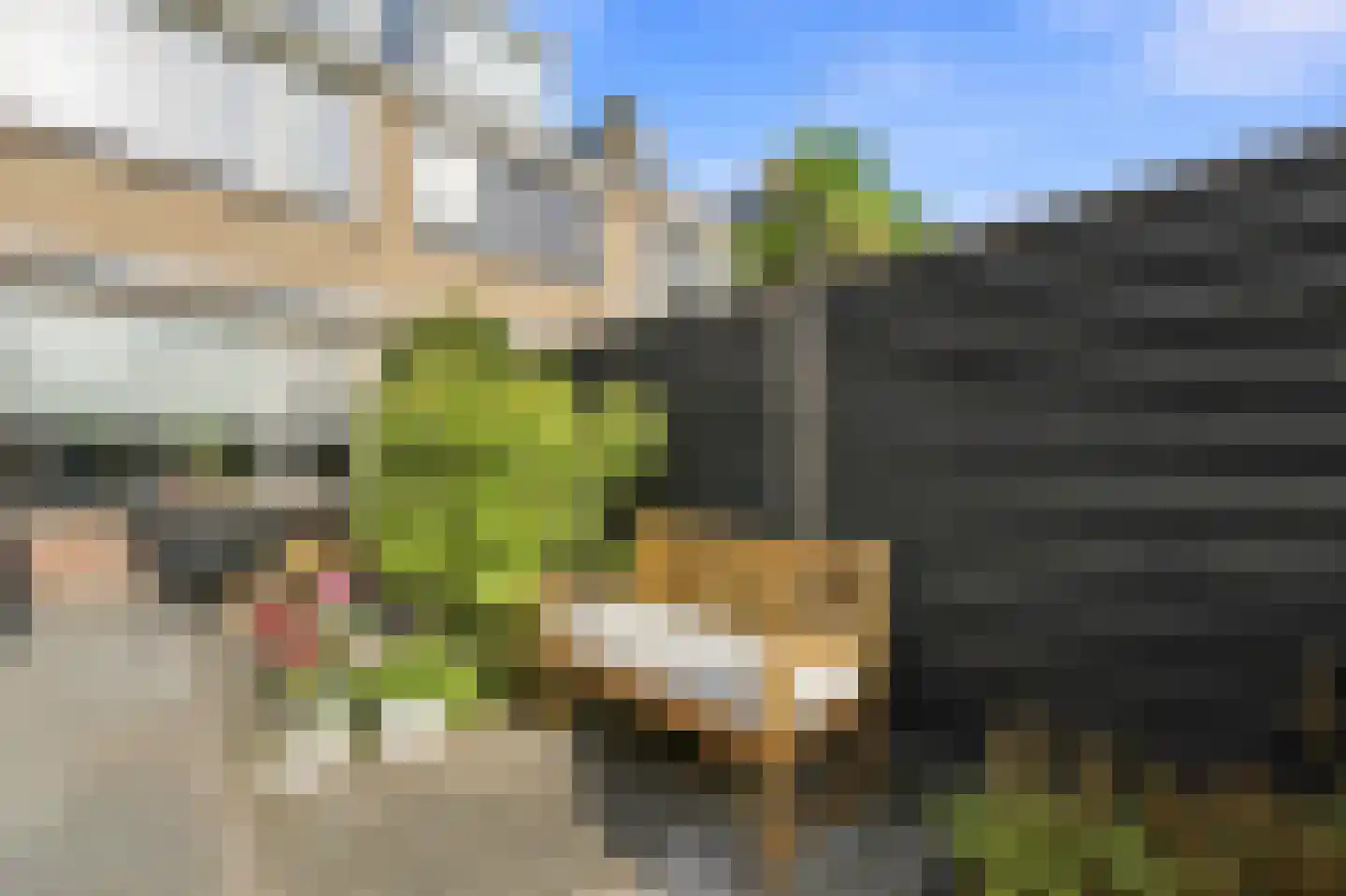 Roemer Visscherstraat 5 Alblasserdam thumbnail 43