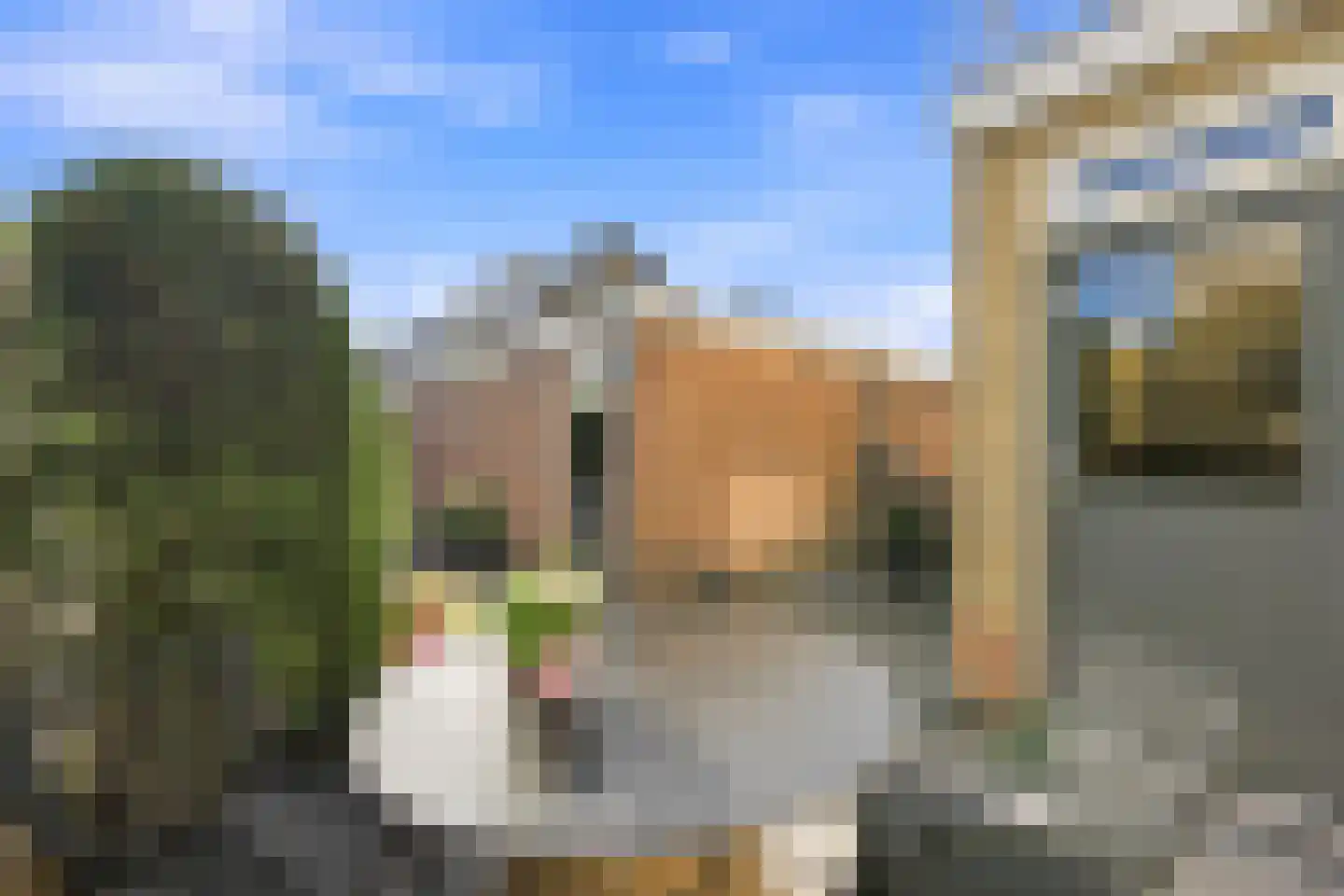 Roemer Visscherstraat 5 Alblasserdam thumbnail 44
