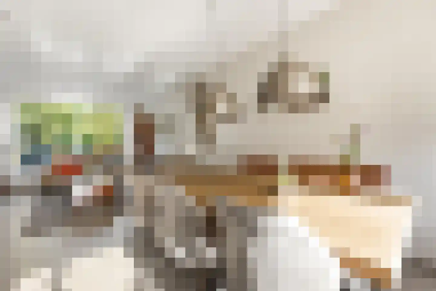 Roemer Visscherstraat 5 Alblasserdam thumbnail 8