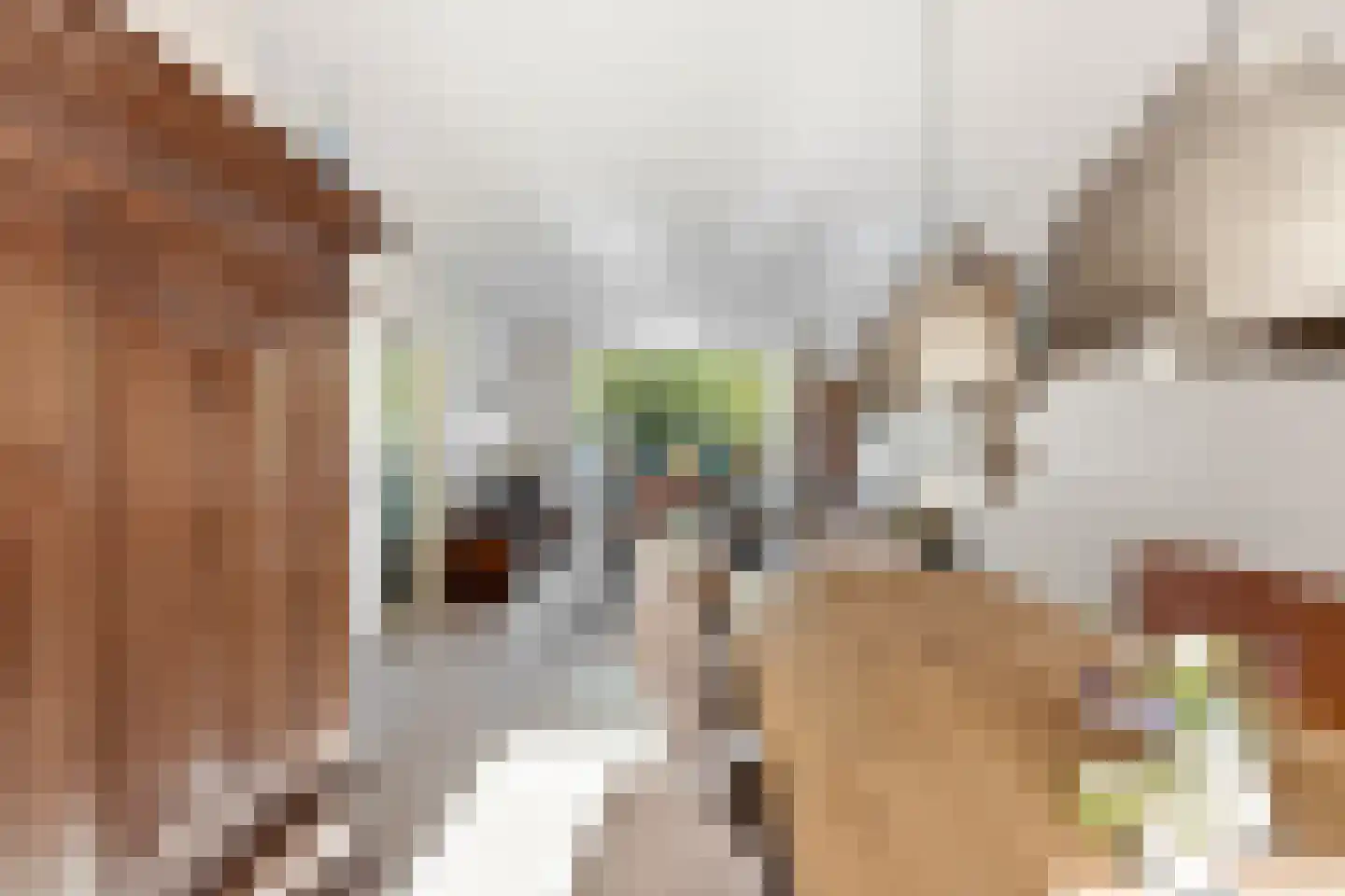 Roemer Visscherstraat 5 Alblasserdam thumbnail 9