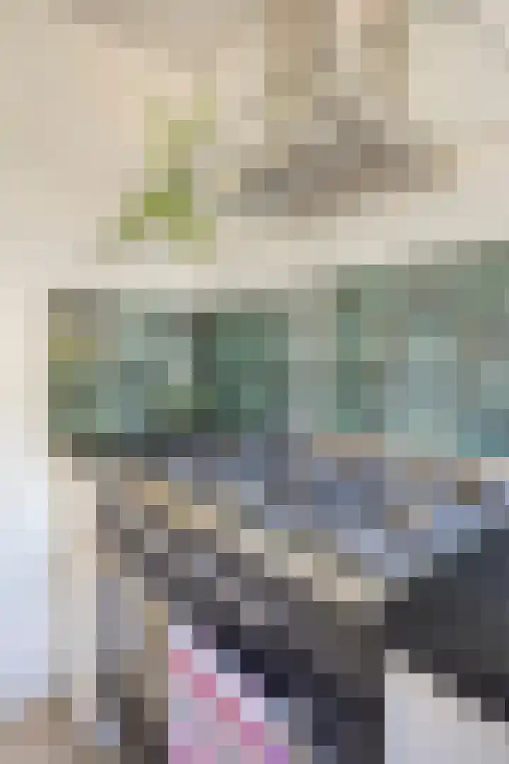Roemer Visscherstraat 5 Krimpen aan de Lek thumbnail 10