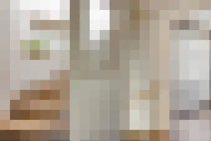 Roemer Visscherstraat 5 Krimpen aan de Lek thumbnail 20