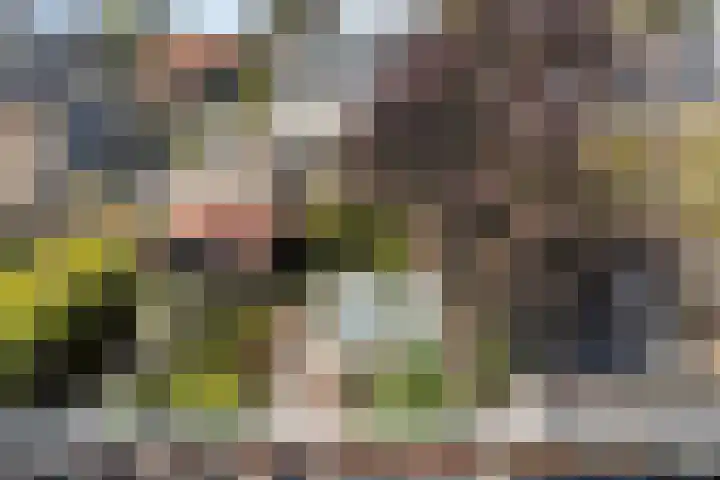 Roemer Visscherstraat 5 Krimpen aan de Lek thumbnail 23