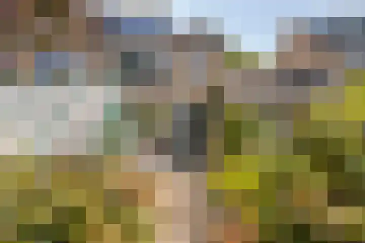 Roemer Visscherstraat 5 Krimpen aan de Lek thumbnail 24