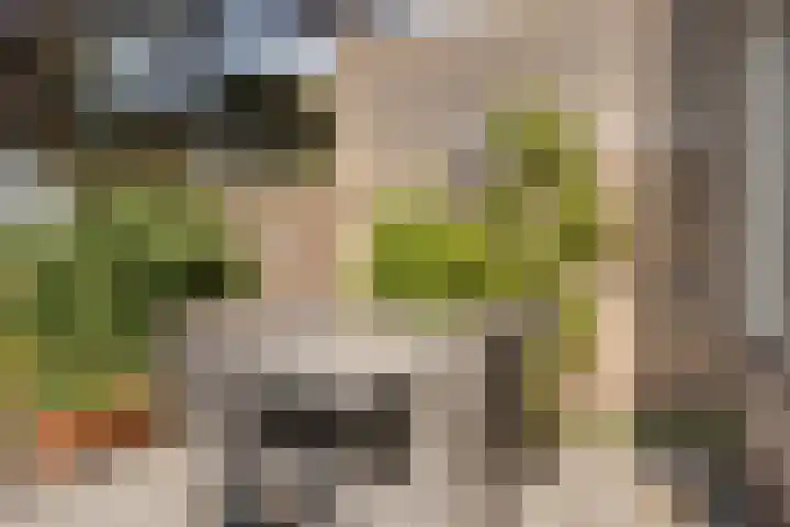 Roemer Visscherstraat 5 Krimpen aan de Lek thumbnail 25