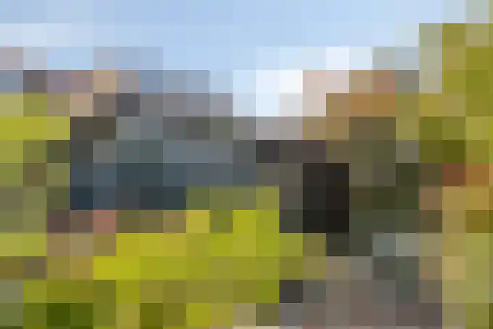 Roemer Visscherstraat 5 Krimpen aan de Lek thumbnail 26