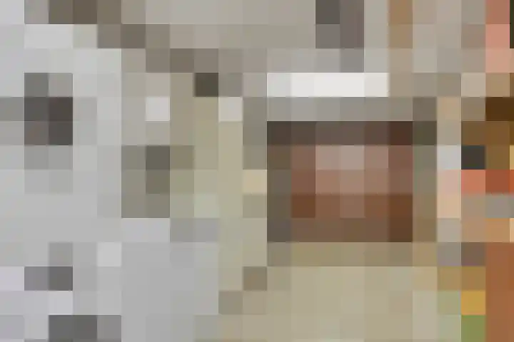 Roemer Visscherstraat 5 Krimpen aan de Lek thumbnail 28