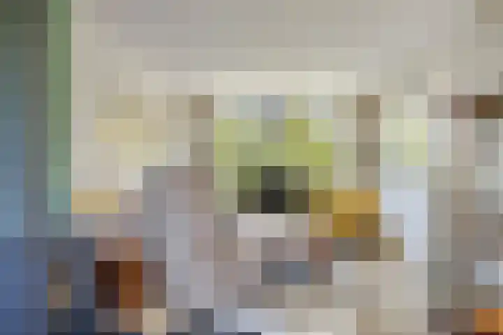 Roemer Visscherstraat 5 Krimpen aan de Lek thumbnail 5