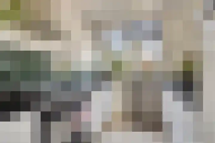 Roemer Visscherstraat 5 Krimpen aan de Lek thumbnail 9