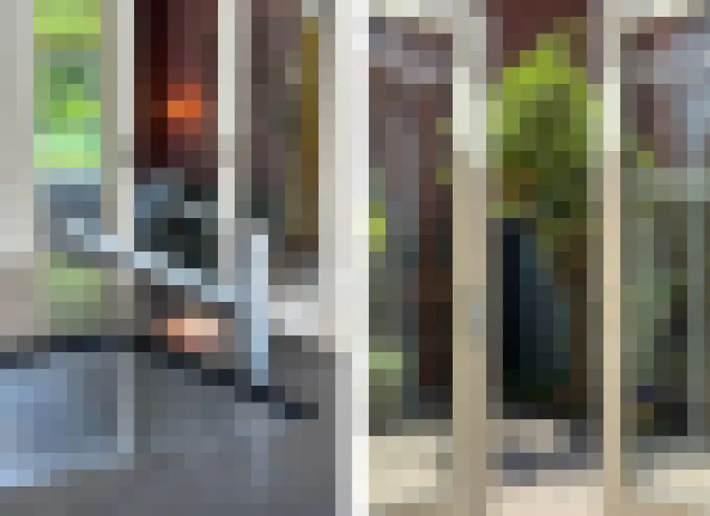 Roemer Visscherstraat 57 Leiden thumbnail 22