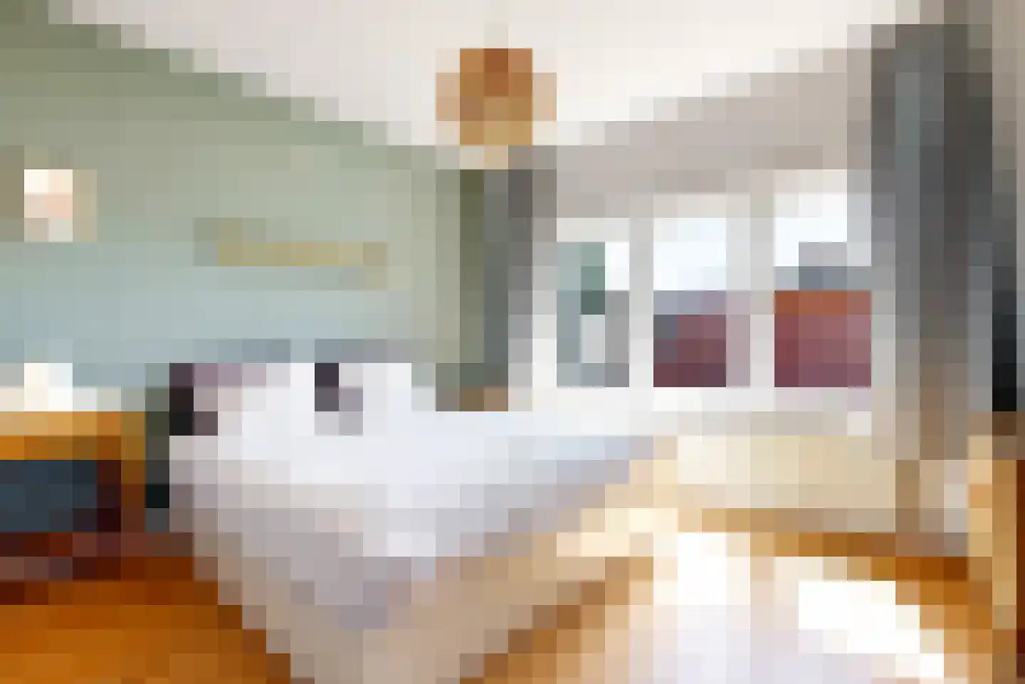 Roemer Visscherstraat 57 Leiden thumbnail 34