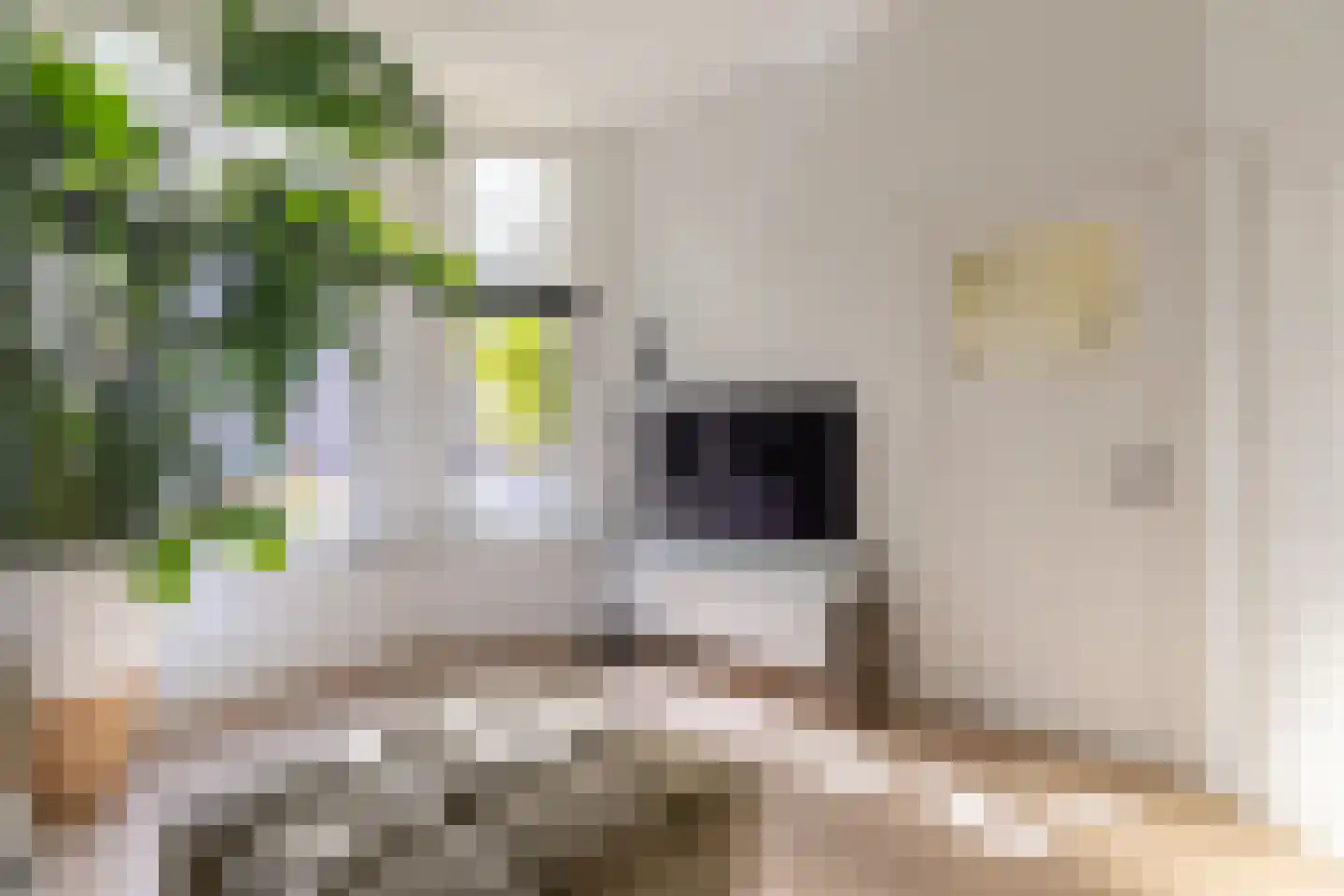 Roemer Visscherstraat 6 Alkmaar thumbnail 10