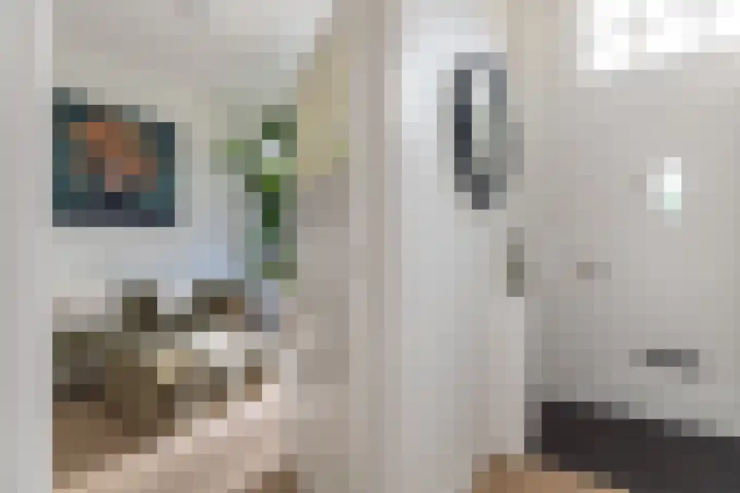 Roemer Visscherstraat 6 Alkmaar thumbnail 12