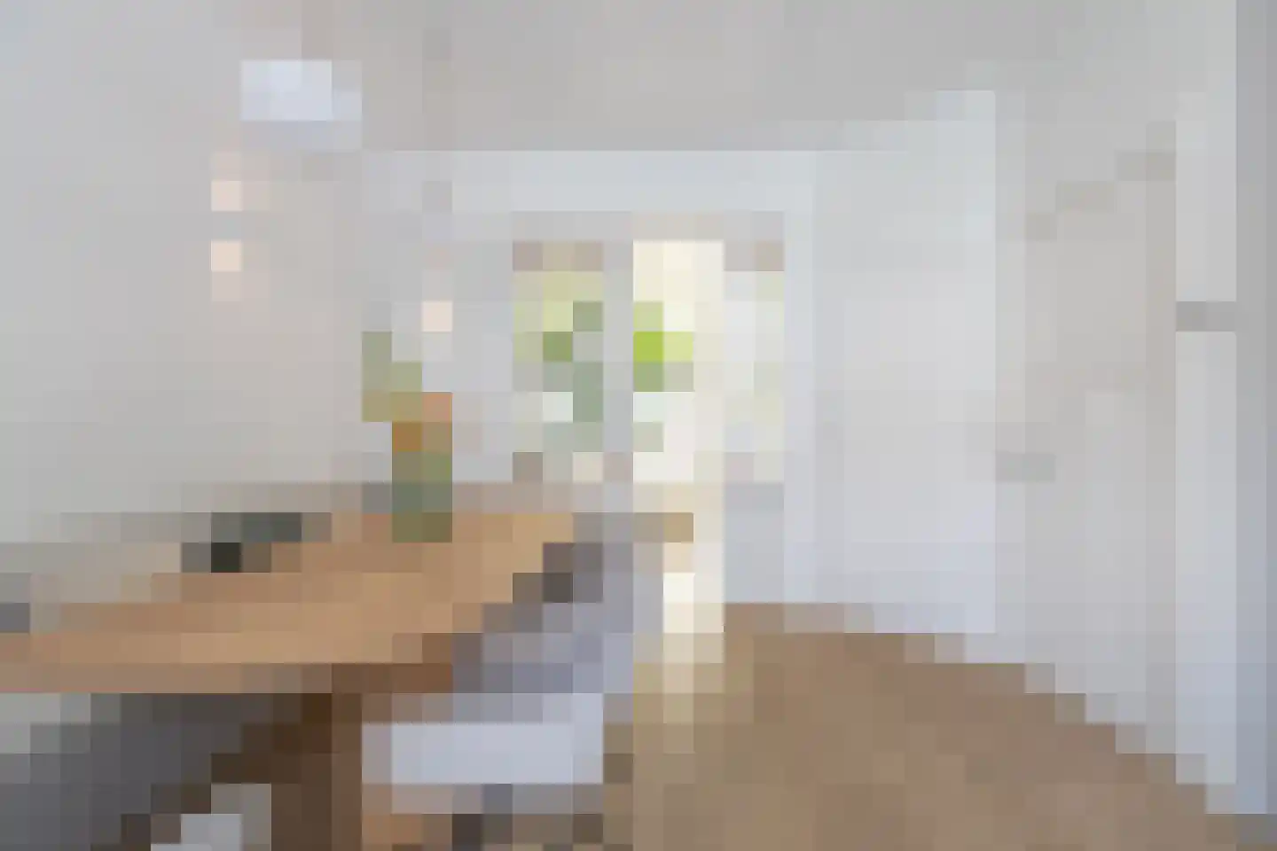 Roemer Visscherstraat 6 Alkmaar thumbnail 13