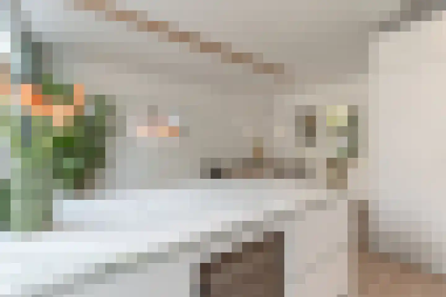Roemer Visscherstraat 6 Alkmaar thumbnail 18