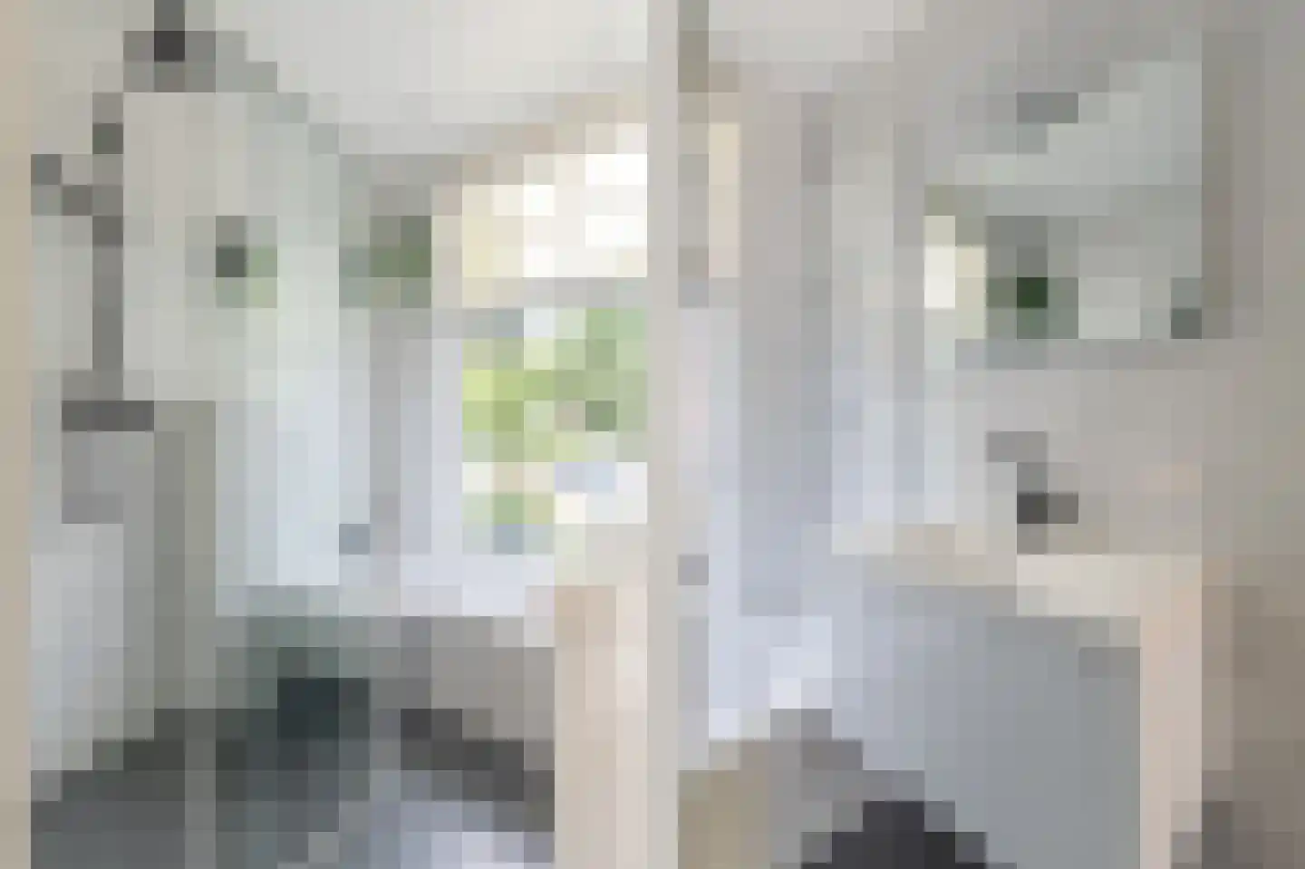Roemer Visscherstraat 6 Alkmaar thumbnail 34