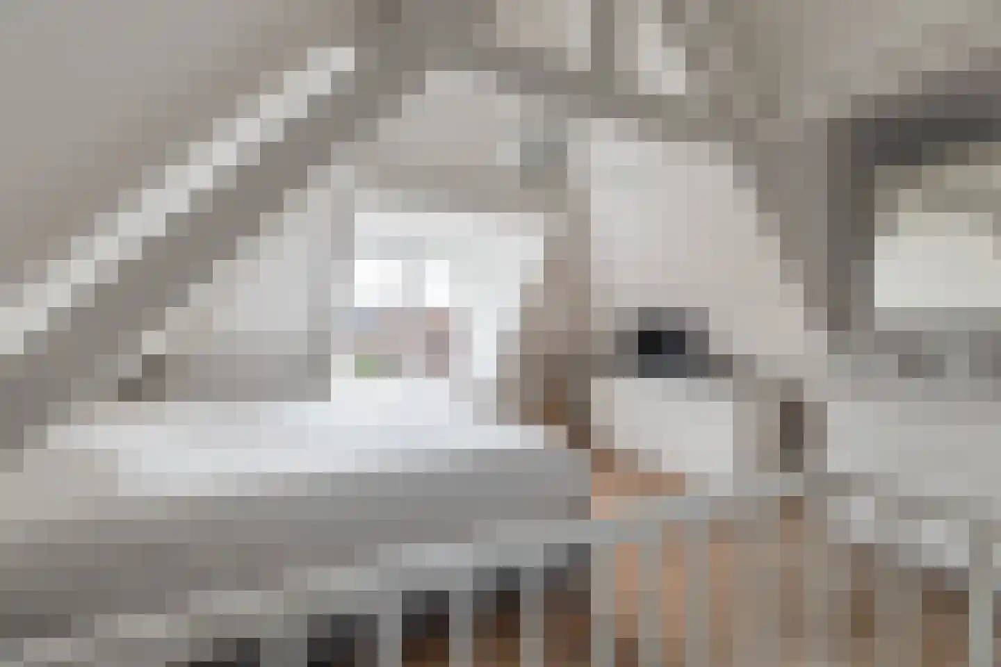 Roemer Visscherstraat 6 Alkmaar thumbnail 37