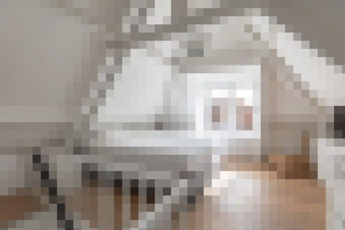Roemer Visscherstraat 6 Alkmaar thumbnail 38