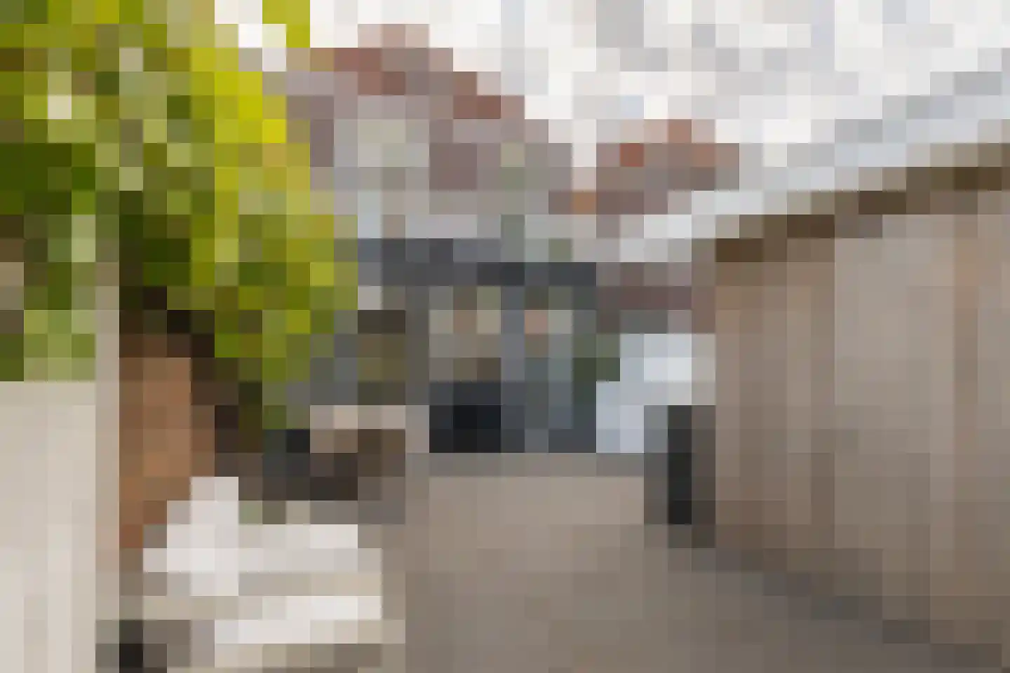 Roemer Visscherstraat 6 Alkmaar thumbnail 47