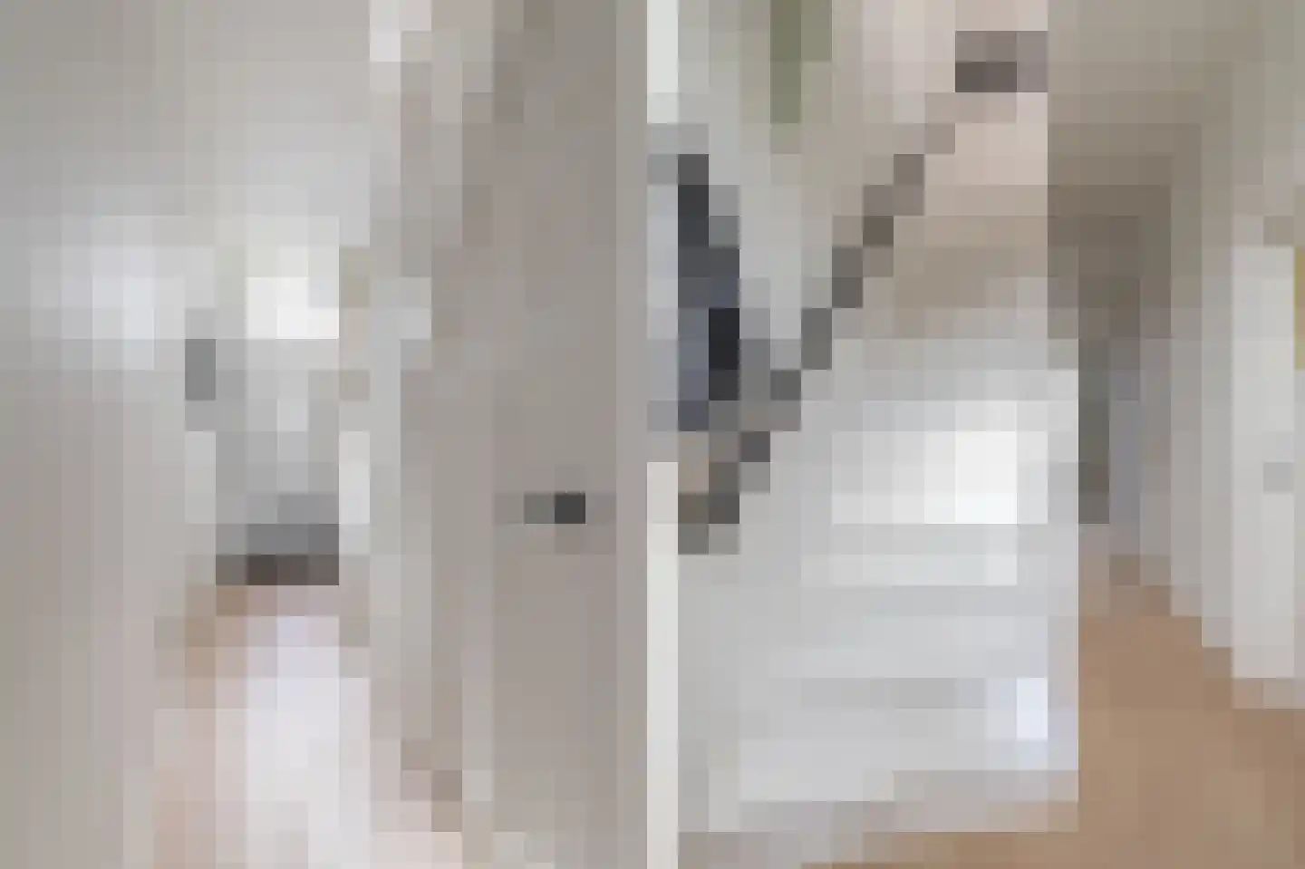 Roemer Visscherstraat 6 Alkmaar thumbnail 8