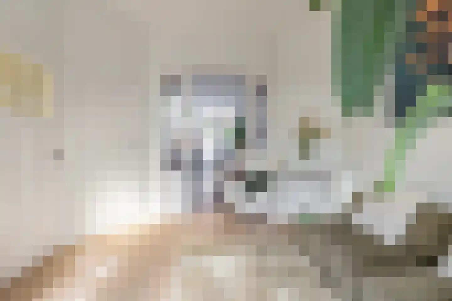Roemer Visscherstraat 6 Alkmaar thumbnail 9