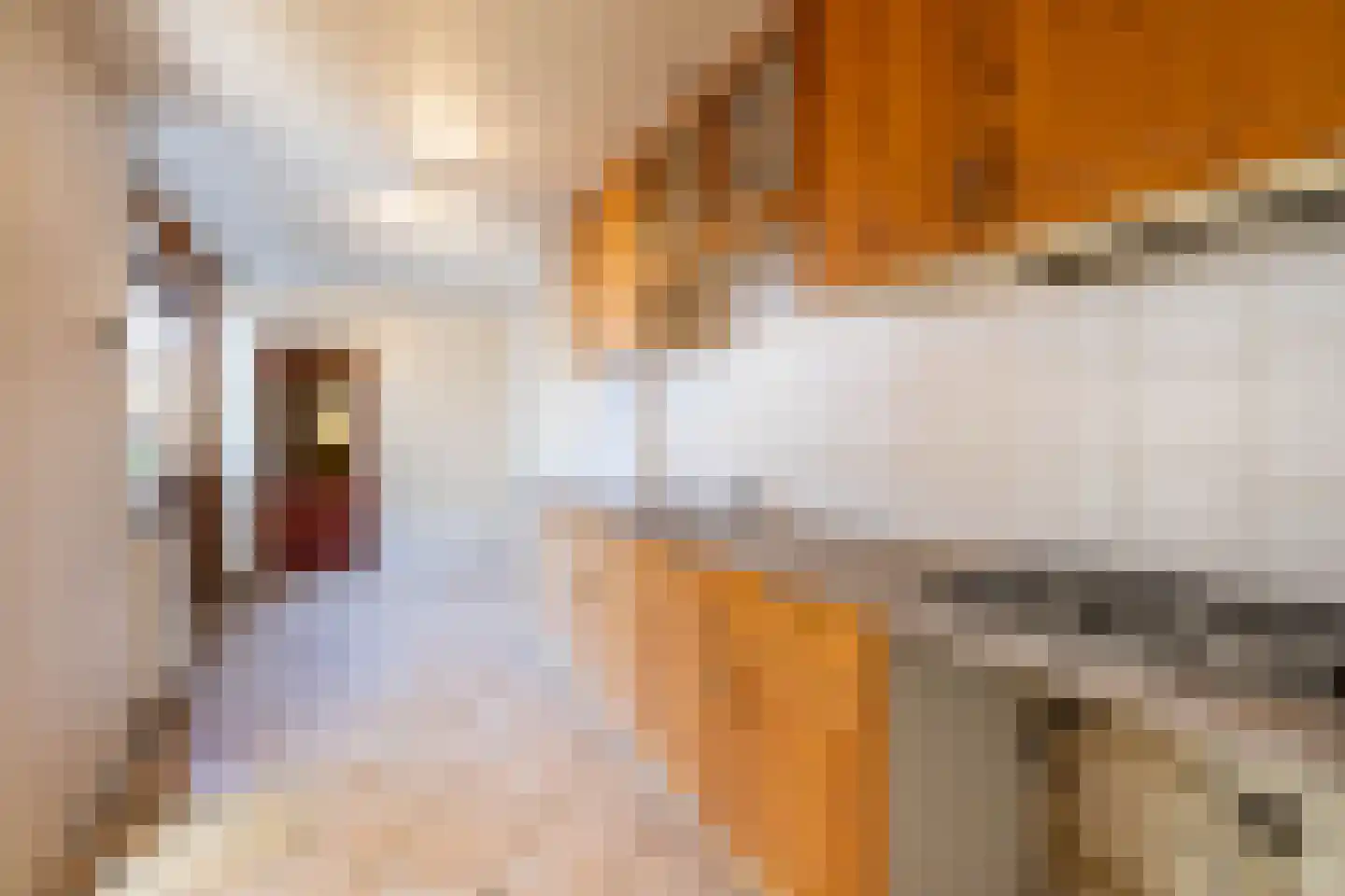 Roemer Visscherstraat 6 Hoogezand thumbnail 6