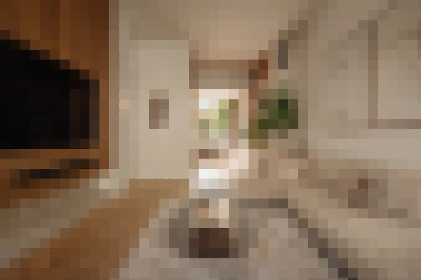 Roemer Visscherstraat 9 Amsterdam thumbnail 19