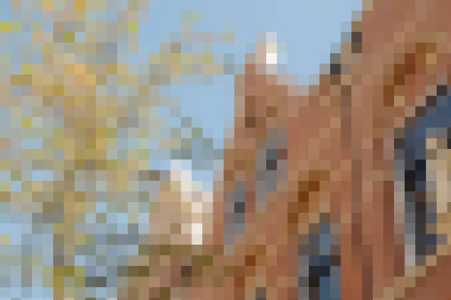 Roemer Visscherstraat 9 Amsterdam thumbnail 6
